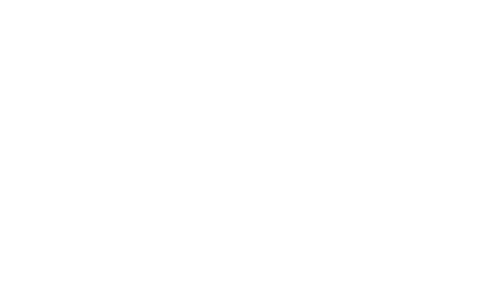 Apex Protect