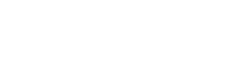 Clever Polymers