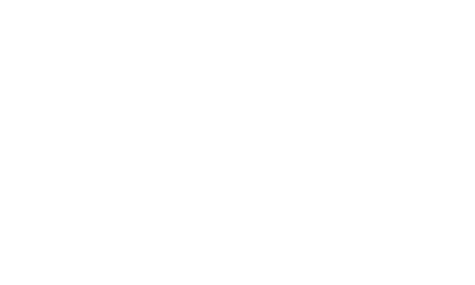 Birlik Makina