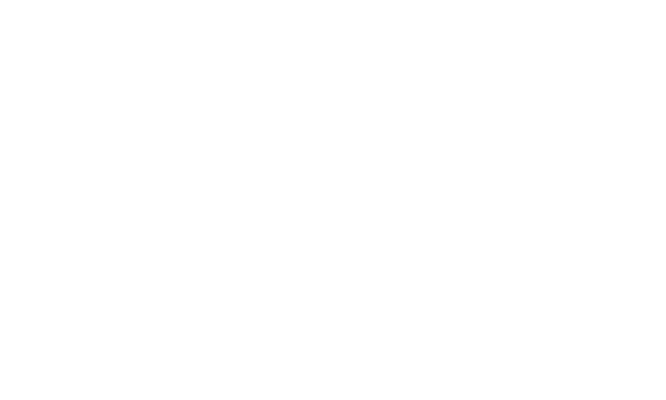 BL TURKEY