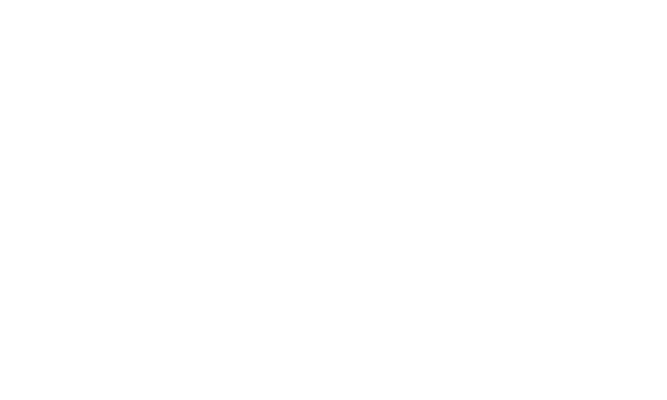 elektromag