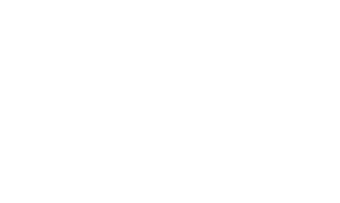 Füzyon