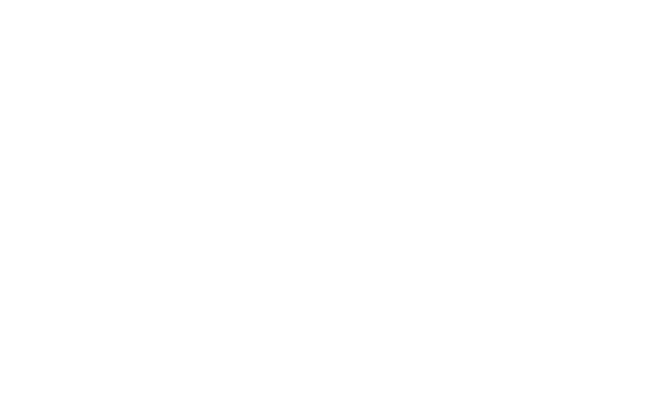 KAPI SİSTEMLERİ MÜMESSİLLİK SANAYİ VE TİCARET LİMİTED ŞİRKETİ