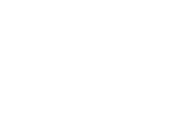 Meta