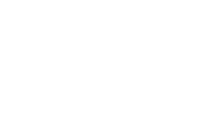 NİĞ TAŞ ANONİM ŞİRKETİ