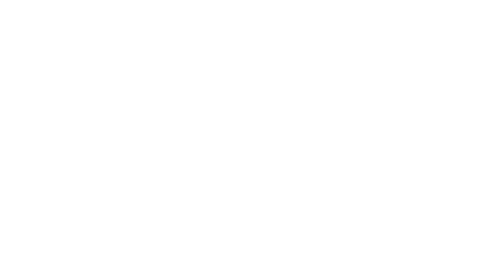 Pivasis Plant Engineering