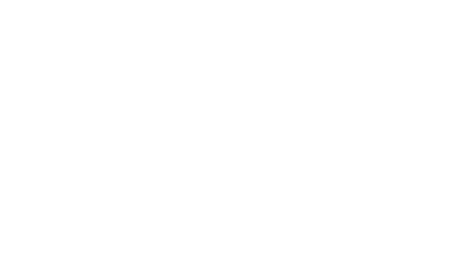 VISIOTT | TPS